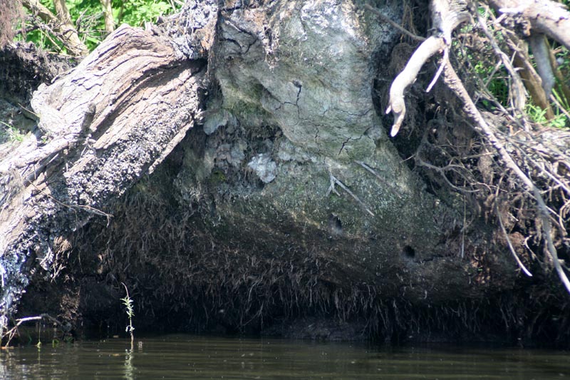 Killikus&reg; Fotographie